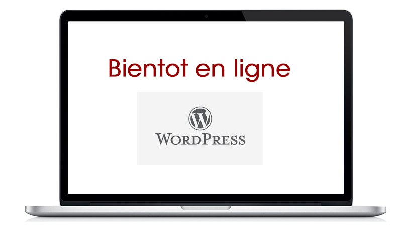 Formation individuelle Certifiante / création de site internet avec WordPress