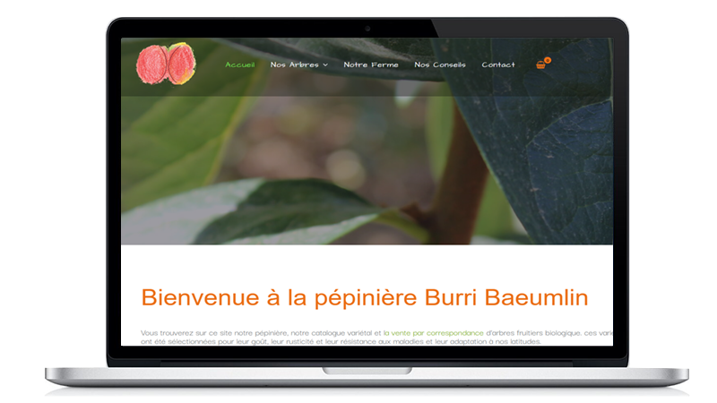 Formation individuelle refonte de site internet