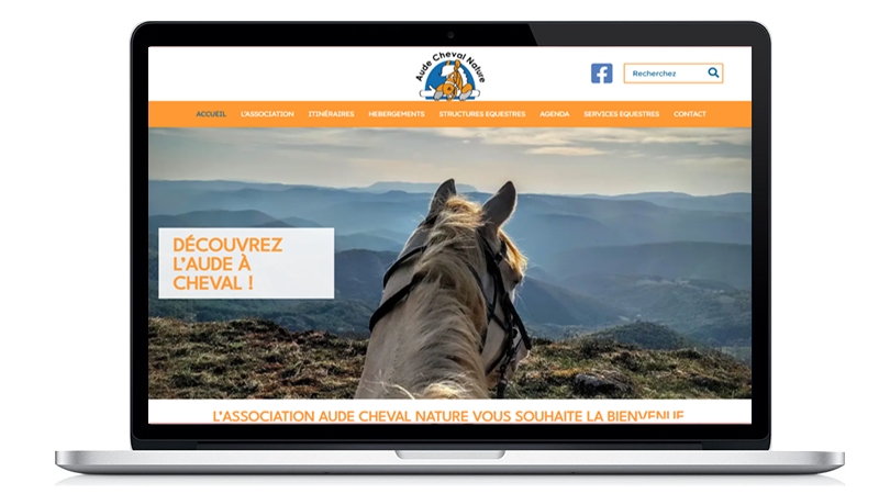 Accompagnement individuel refonte de site internet